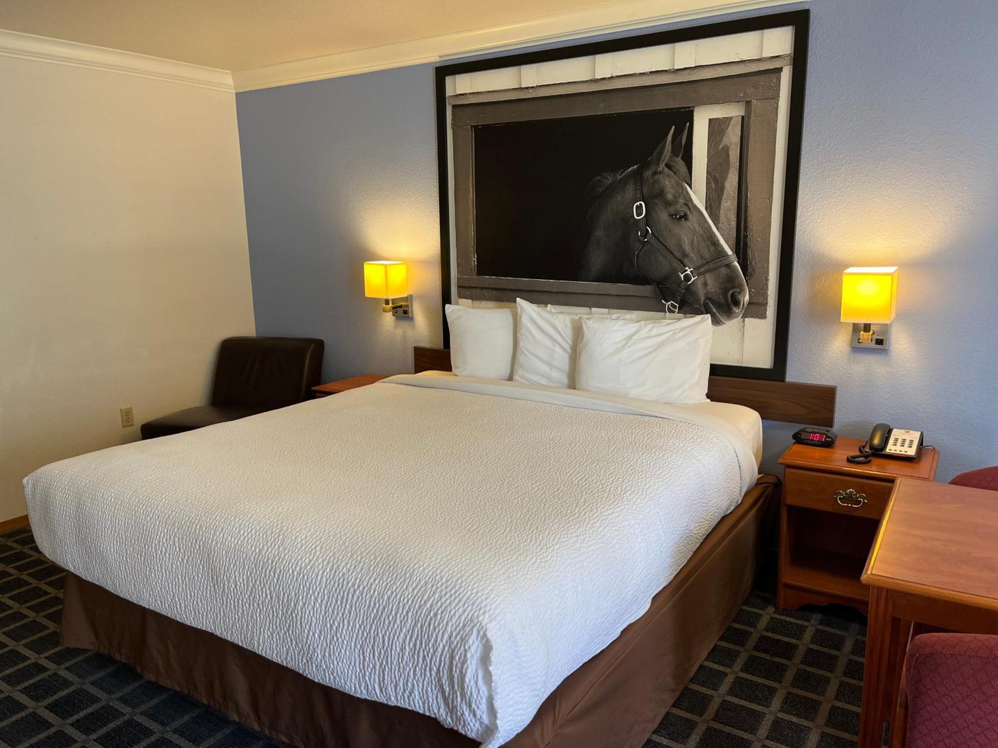 Creekside Inn & Suites Willits Exteriör bild