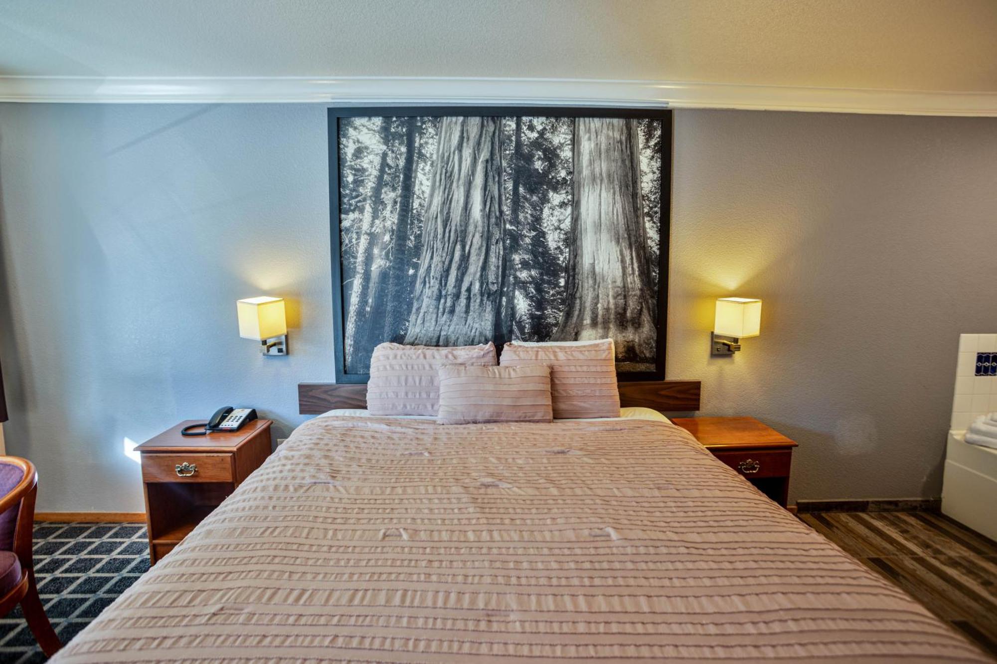 Creekside Inn & Suites Willits Exteriör bild